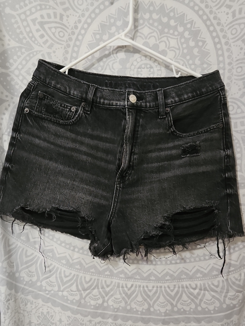 AE Distressed Shorts